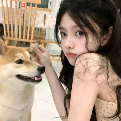 大叔与猫海报